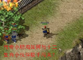 ����С�ʼ������ʮ����ФС������ִ��أ�