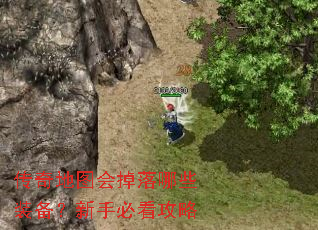 �����ͼ�������Щװ�������ֱؿ�����