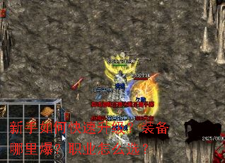 ������ο���������װ�����ﱬ��ְҵ��ôѡ��