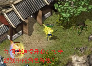 ��ο����������ڴ�����Ϸ�еĽ�ɫ�ȼ���