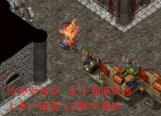 ��������¼��������ο������֣��ؼ��빥��ȫ����