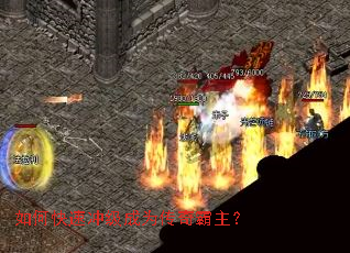 ��ο��ٳ弶��Ϊ���������