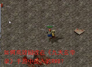 ��θ�Ч�����ڡ���������¼��������Ͷ���RMB��