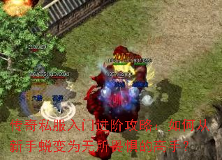 ����˽�����Ž��׹��ԣ���δ������ɱ�Ϊ����η��ĸ��֣�