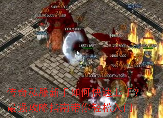 ����˽��������ο������֣���ǿ����ָ�ϴ�����������