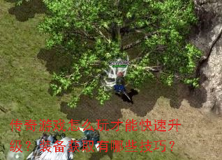 ������Ϸ��ô����ܿ���������װ����ȡ����Щ���ɣ�