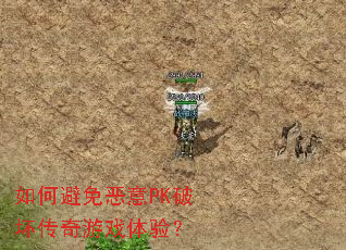 ��α������PK�ƻ�������Ϸ���飿