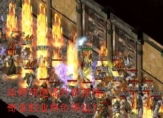 ��ο����������δ��浥ְҵ��ɫ�ȼ���