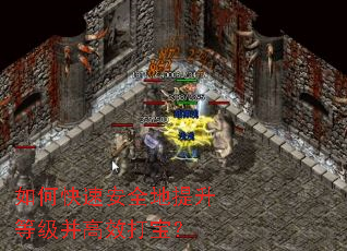 ��ο��ٰ�ȫ�������ȼ�����Ч�򱦣�