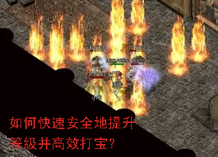 ��ο��ٰ�ȫ�������ȼ�����Ч�򱦣�