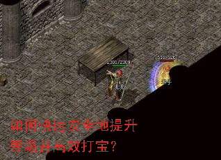 ��ο��ٰ�ȫ�������ȼ�����Ч�򱦣�