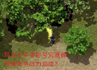 玛法主宰者称号究竟能带来哪些战力加成? 玛法主宰者称号究竟能带来哪些战力加成?