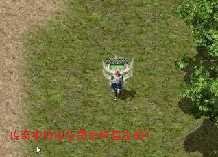 传奇中的家族是怎样建立的? 传奇中的家族是怎样建立的?