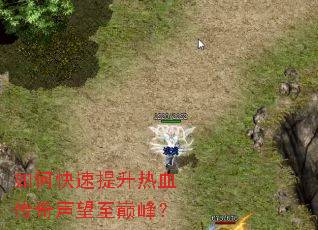 ��ο���������Ѫ�����������۷壿