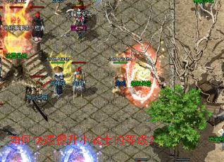 ��ο�������Сսʿ�ĵȼ���