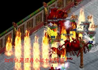 ��ο�������Сսʿ�ĵȼ���