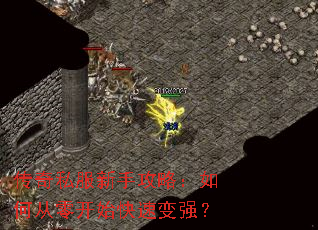 传奇私服新手攻略:如何从零开始快速变强? 传奇私服新手攻略:如何从零开始快速变强?