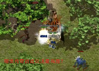 哪类传奇游戏玩法最有趣? 哪类传奇游戏玩法最有趣?