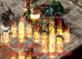 ������ο���������1.76����˽��ս���������ȫ����