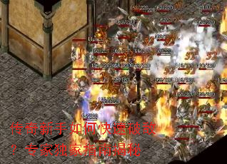 ����������ο����ƵУ�ר�Ҷ���ָ�Ͻ���