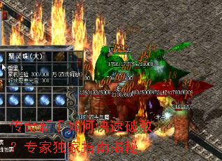 ����������ο����ƵУ�ר�Ҷ���ָ�Ͻ���