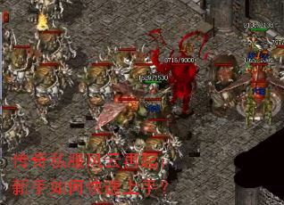 ����˽����������������ο������֣�