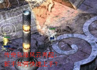 ����˽����������������ο������֣�