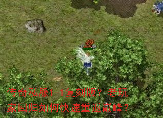 ����˽��1-1���̰棿����һع���ο����ط��۷壿