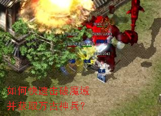 ��ο��ٻ���ħ�򲢻�ȡ��������