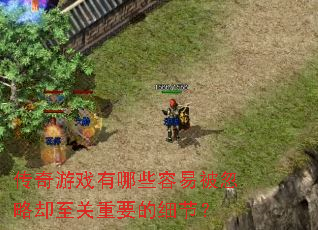 ������Ϸ����Щ���ױ�����ȴ������Ҫ��ϸ�ڣ�