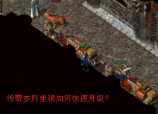 ��������������ο���������