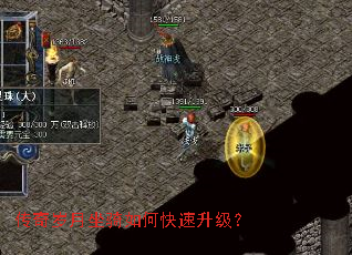 ��������������ο���������