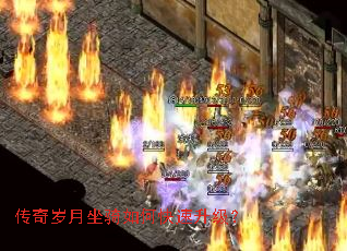 ��������������ο���������