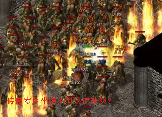 ��������������ο���������