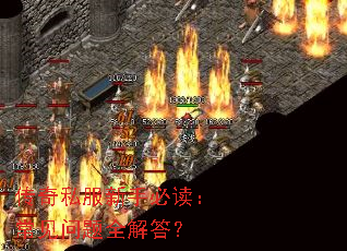 ����˽�����ֱض�����������ȫ���