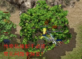 ����˽�����ֱض�����������ȫ���