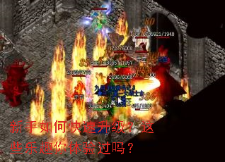 新手如何快速升级?这些乐趣你体验过吗? 新手如何快速升级?这些乐趣你体验过吗?