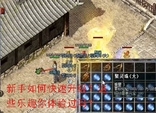 新手如何快速升级?这些乐趣你体验过吗? 新手如何快速升级?这些乐趣你体验过吗?