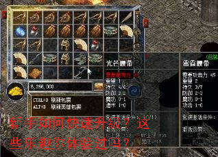 新手如何快速升级?这些乐趣你体验过吗? 新手如何快速升级?这些乐趣你体验过吗?