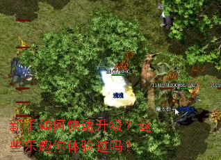 ������ο�����������Щ��Ȥ���������