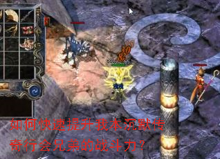 ��ο��������ұ���Ĭ�����л��ֵܵ�ս������