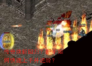 ������»ع飿������ο������ֲ����ף�