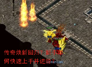 ������»ع飿������ο������ֲ����ף�