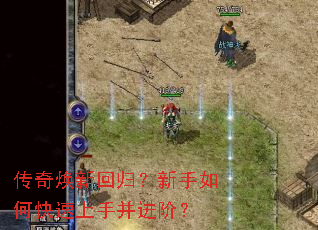 ������»ع飿������ο������ֲ����ף�