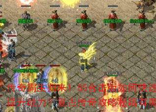 �����������1.85�ϻ�����ο�������ս�������Ŵ��湥���ؼ�����Щ��