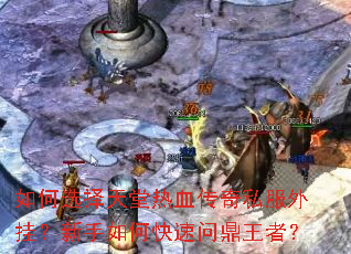 如何选择天堂热血传奇私服外挂?新手如何快速问鼎王者? 如何选择天堂热血传奇私服外挂?新手如何快速问鼎王者?