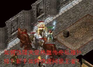 如何选择天堂热血传奇私服外挂?新手如何快速问鼎王者? 如何选择天堂热血传奇私服外挂?新手如何快速问鼎王者?