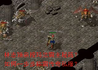 ��־ӱ�����귨�����ؼ������һ�����ưԴ���˽����