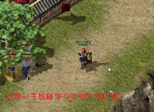 ����sf���ǵ�������Щʵ�ù��ܣ�