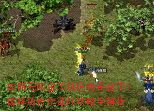 如何无限金币纵横传奇金币?破解版传奇征战攻略全解析 如何无限金币纵横传奇金币?破解版传奇征战攻略全解析